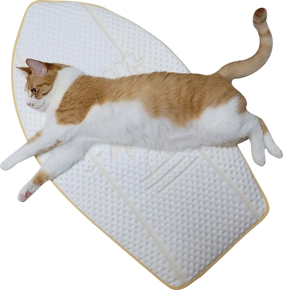 Coolsum surfing mat | 寵物勁涼衝浪墊