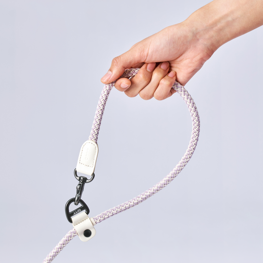 Bouncing Rope Leash | 蹦跳牽繩