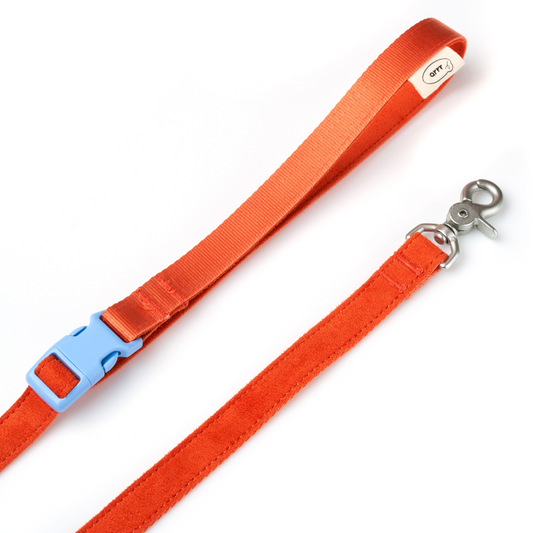 Myfit Leash | 緩緩安全牽繩