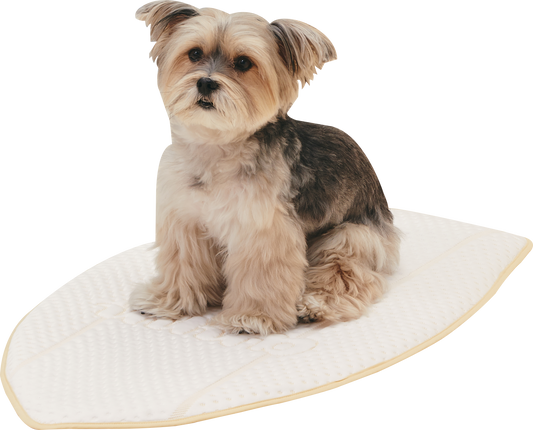 Coolsum surfing mat | 寵物勁涼衝浪墊