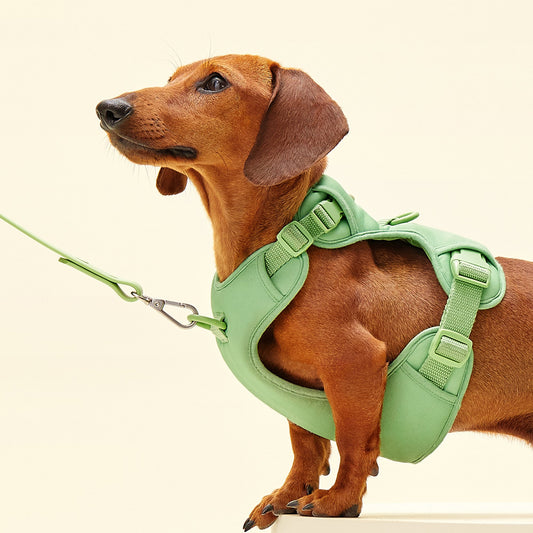 Humming Myfit Harness | 馬卡龍胸背帶
