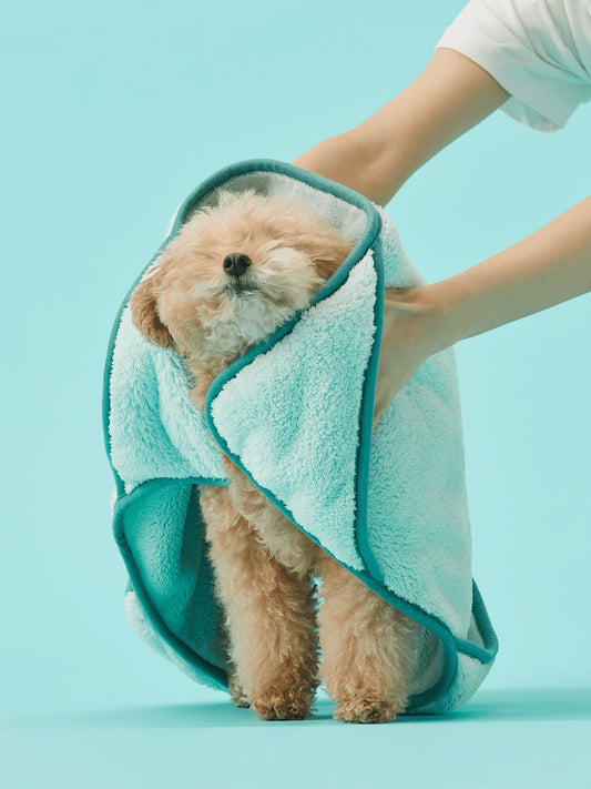 Fluffy Pet Towel | 寵物軟綿綿毛巾