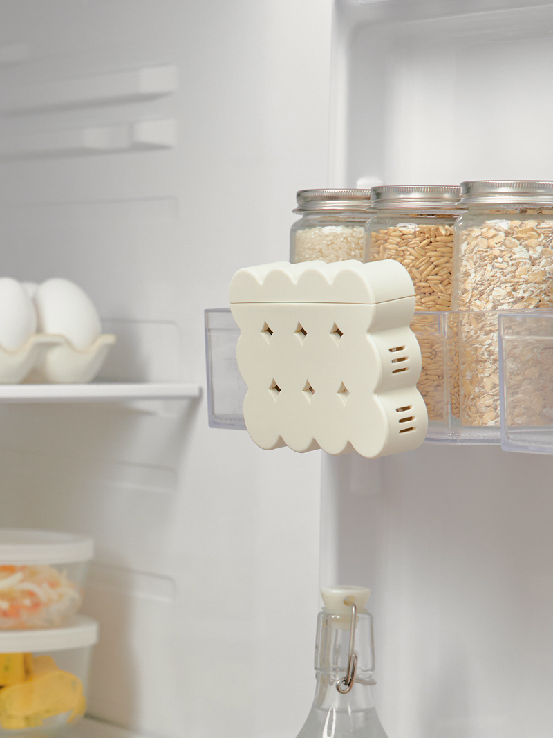 Breezy Fridge Deodorizer | 清新吸味盒