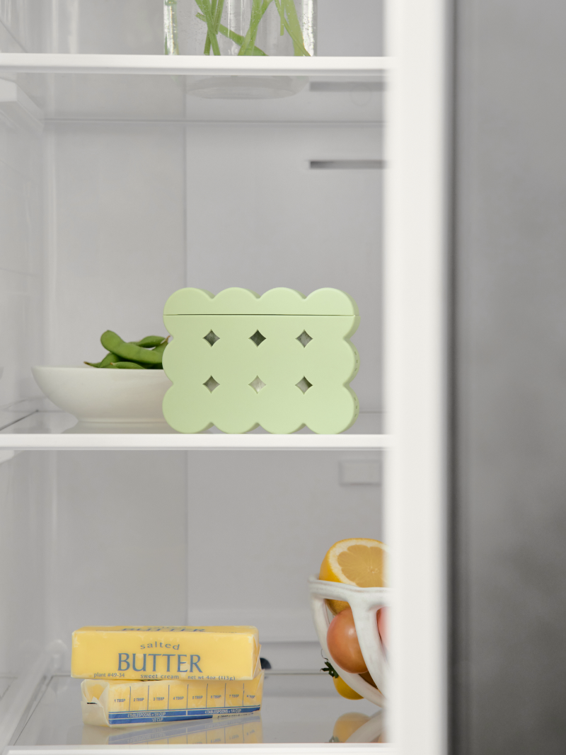 Breezy Fridge Deodorizer | 清新吸味盒