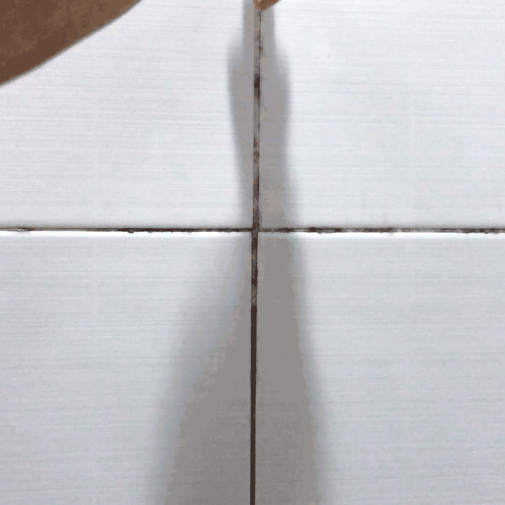 強效除霉凝膠 Mold Remover