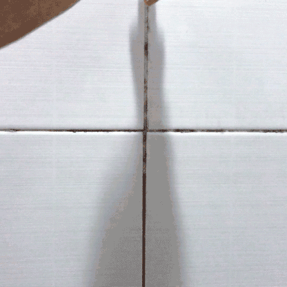 強效除霉凝膠 Mold Remover