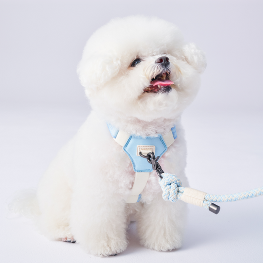 Bouncing Harness | 蹦跳胸背帶