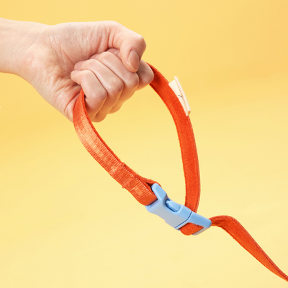 Myfit Leash | 緩緩安全牽繩