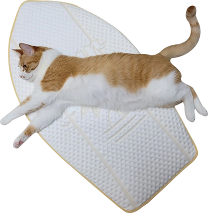 Coolsum surfing mat | 寵物勁涼衝浪墊
