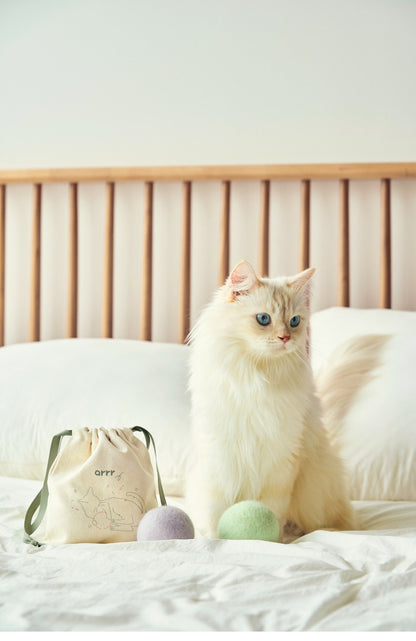 Macaron Cat Toy Ball | 馬卡龍寶貝球