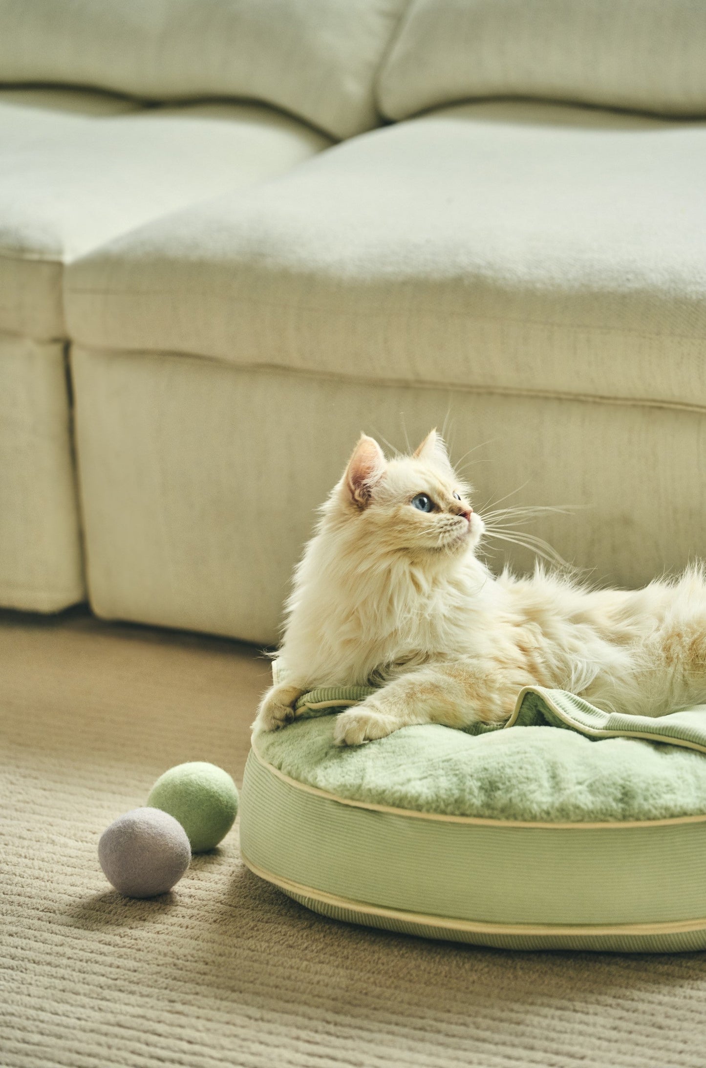 Macaron Cat Toy Ball | 馬卡龍寶貝球