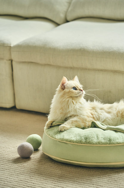 Macaron Cat Toy Ball | 馬卡龍寶貝球