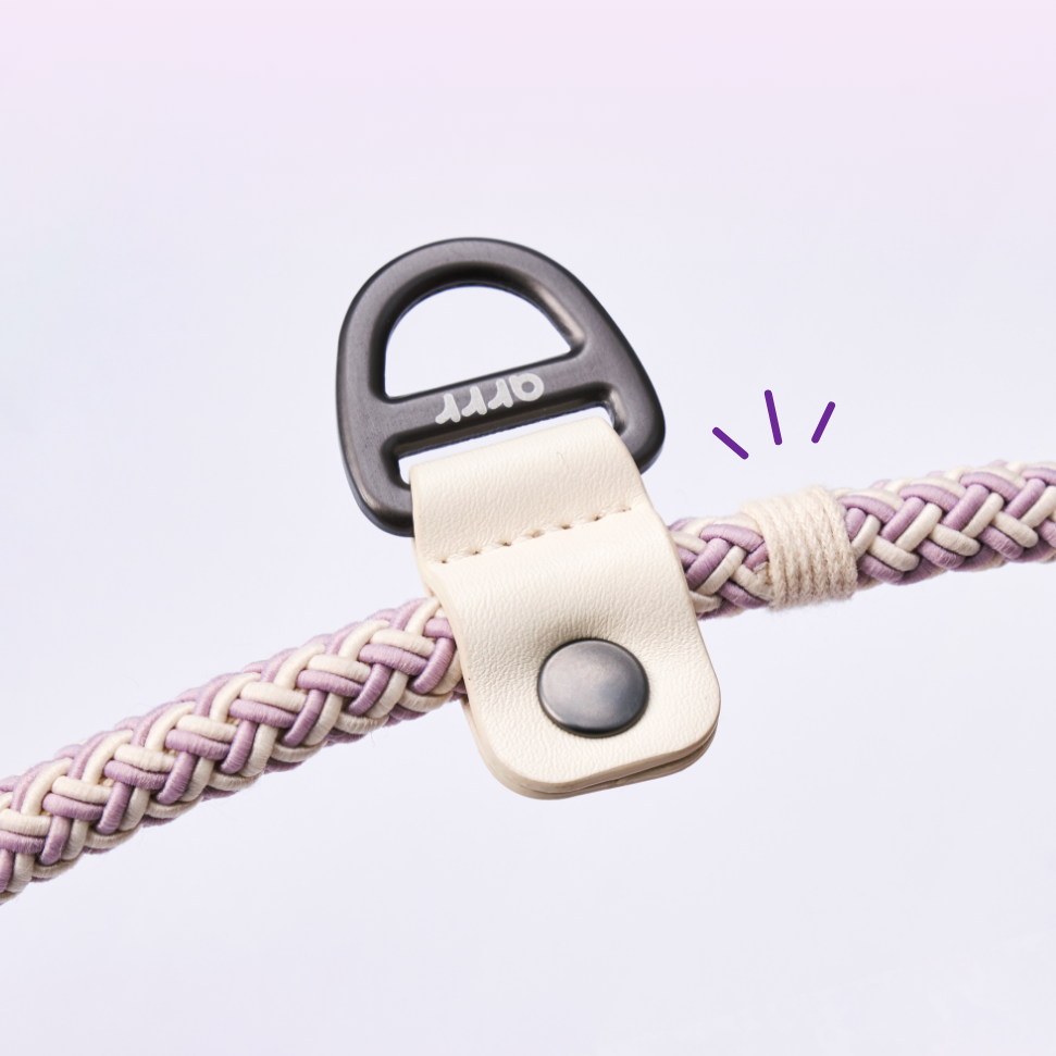 Bouncing Rope Leash | 蹦跳牽繩