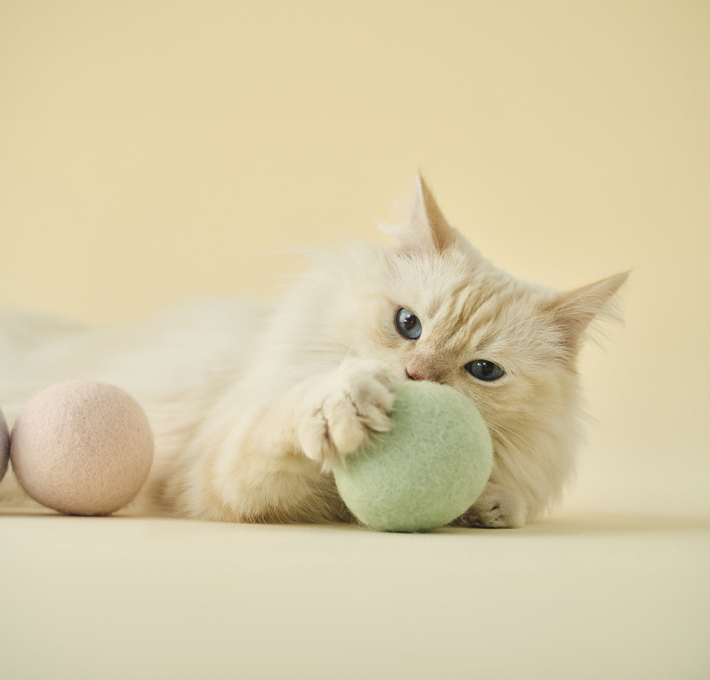 Macaron Cat Toy Ball | 馬卡龍寶貝球