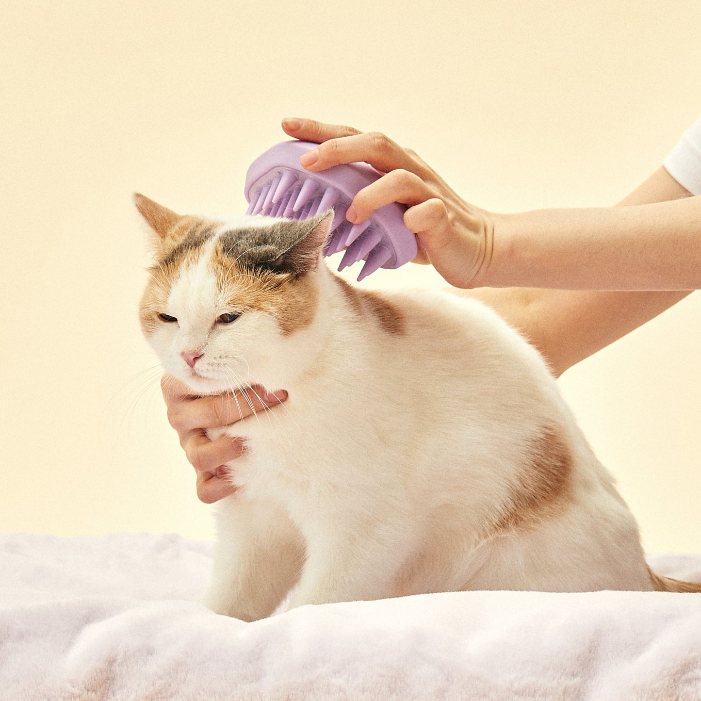 Grooming Brush | 乖乖按摩梳
