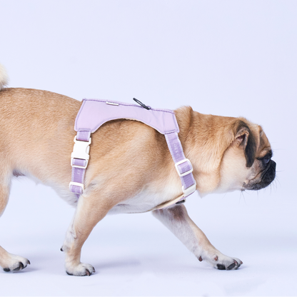 Bouncing Harness | 蹦跳胸背帶