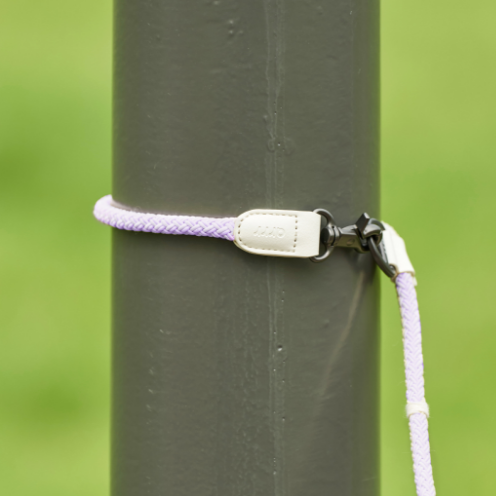 Bouncing Rope Leash | 蹦跳牽繩