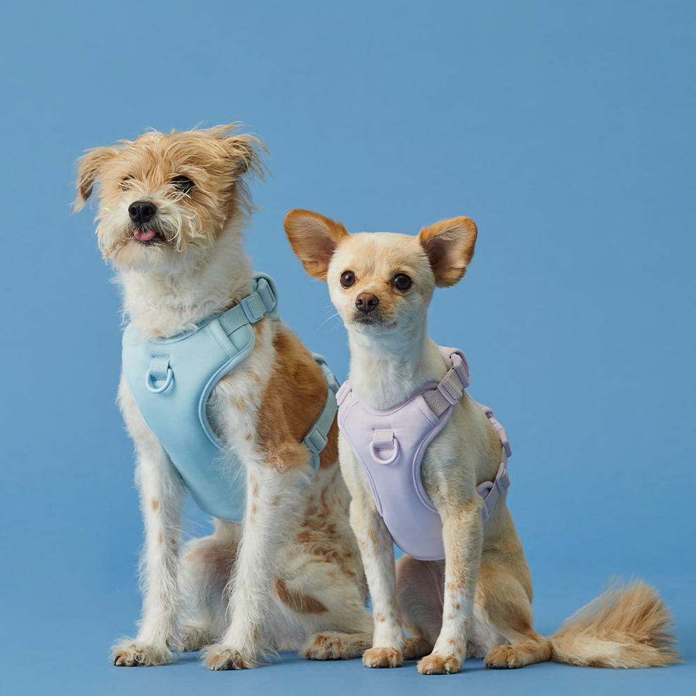Humming Myfit Harness V2 | 馬卡龍胸背帶 V2