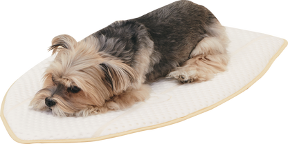 Coolsum surfing mat | 寵物勁涼衝浪墊