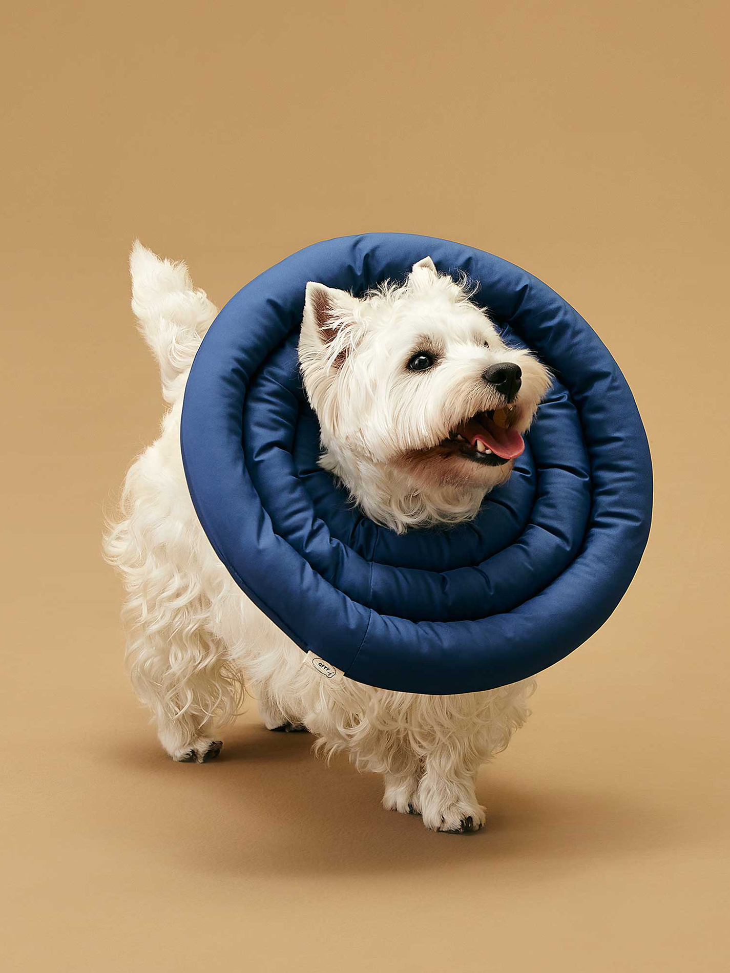 UFO Neck Collar | 防舔咬頸圈
