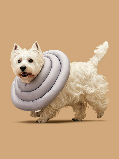 UFO Neck Collar | 防舔咬頸圈