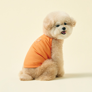 Heart Sleeveless Shirt/Suncap | 愛心寵物吊帶背心/遮陽帽