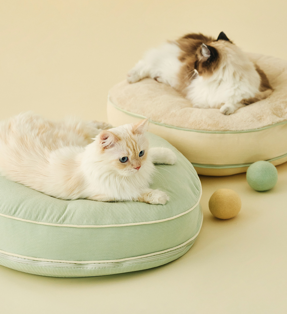 Macaron Cat Toy Ball | 馬卡龍寶貝球