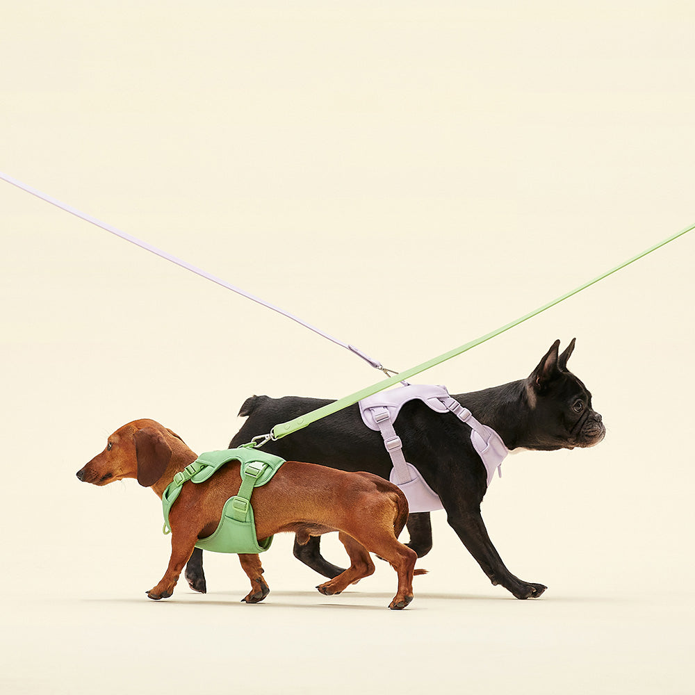 Humming Myfit Harness | 馬卡龍胸背帶