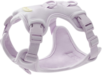 Humming Myfit Harness V2 | 馬卡龍胸背帶 V2
