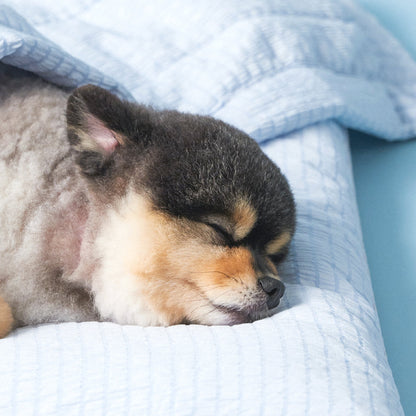 Sleeping blanket modal ver | 寵物涼感被墊