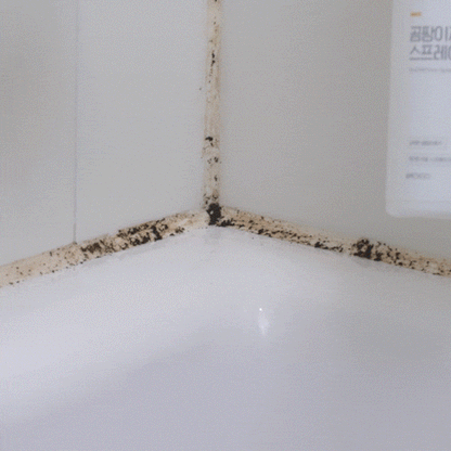 強效除霉噴霧 Mold Remover Spray